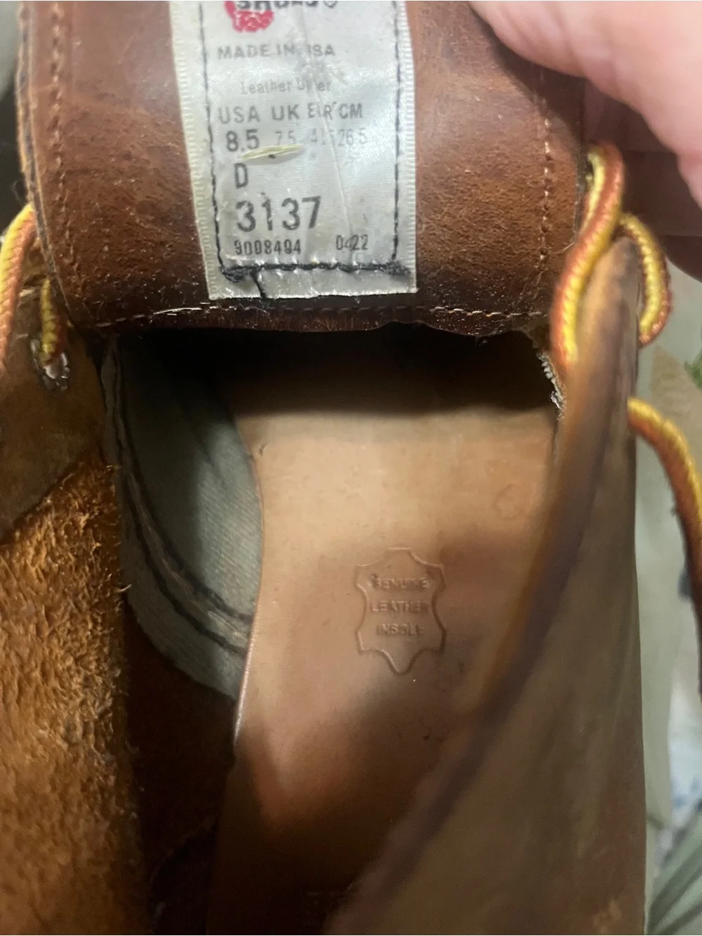 Red Wing meet your